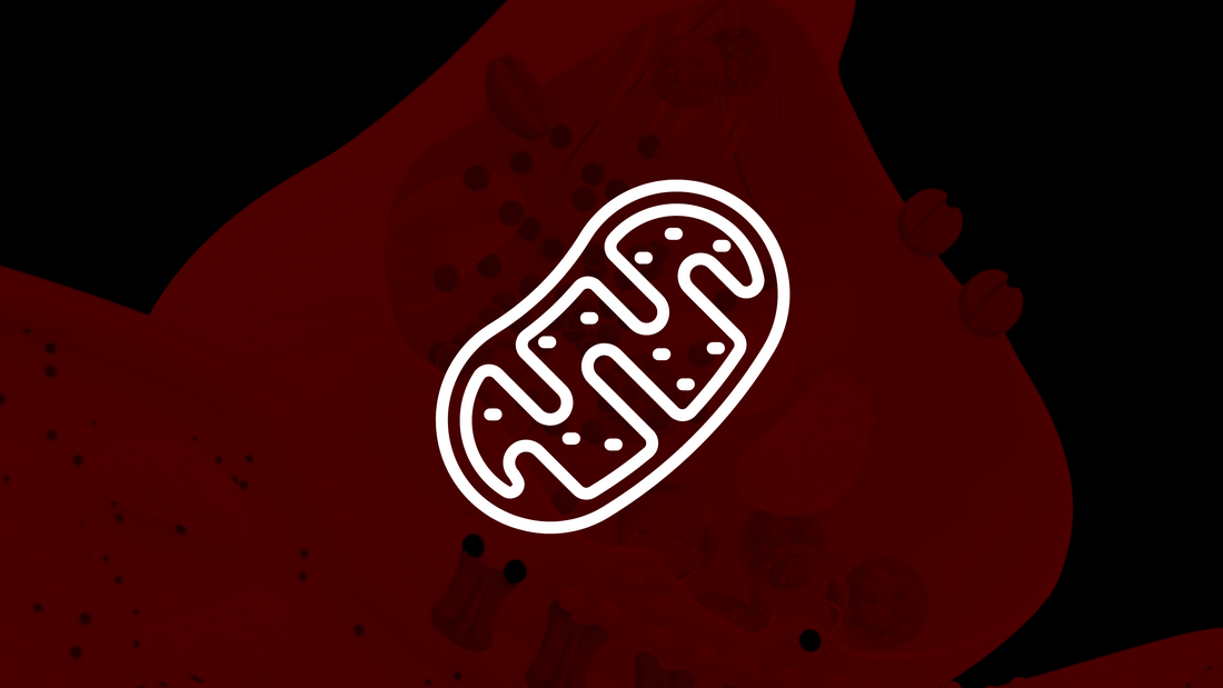 Red light therapy for Mitochondria