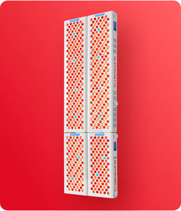 2x-biomax-300-+-600_1